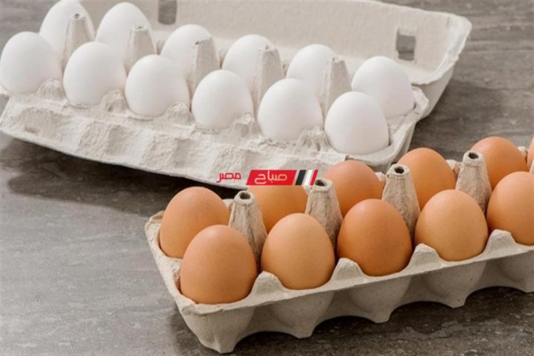 متوسط أسعار كرتونة البيض لكل أنواعها في مصر اليوم السبت 26-3-2022