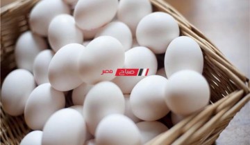 متوسط أسعار كرتونة البيض اليوم الإثنين 21-2-2022 في السوق المصري