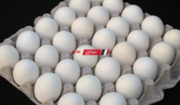 متوسط أسعار البيض اليوم الأربعاء 2-3-2022 في الاسواق المصرية