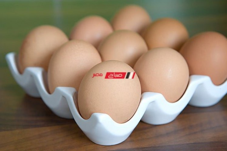 متوسط أسعار البيض اليوم السبت 12-3-2022 بعد التقلبات الاخيرة في السعر