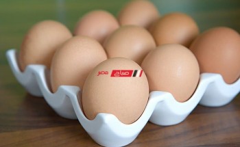 متوسط أسعار طبق البيض اليوم الجمعة 22-4-2022 في مصر لكل الانواع