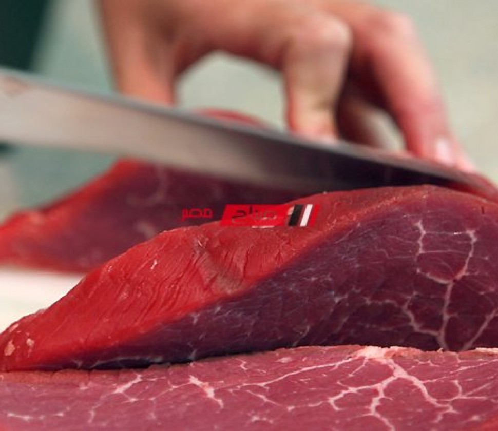 ثبات أسعار اللحوم والأسماك اليوم الخميس 28-9-2023 بالاسواق