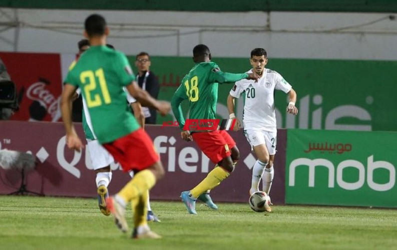 رد صادم من الفيفا بشأن إعادة مباراة منتخب الجزائر والكاميرون