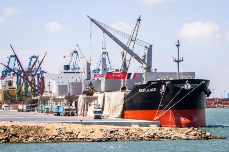 تفريغ شحنة أخشاب جديدة على ارصفة ميناء دمياط بإجمالي 560 طن ابلاكاش و 640 طن زان