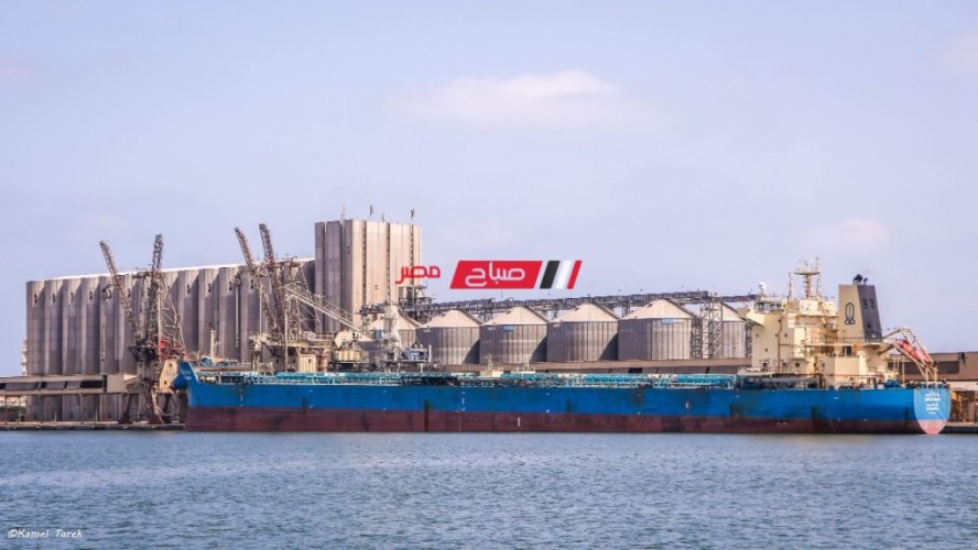 ميناء دمياط يعلن تفريغ 25 حاوية 40 قدم قادمة من الاسكندرية