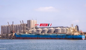 ميناء دمياط يعلن تفريغ 25 حاوية 40 قدم قادمة من الاسكندرية
