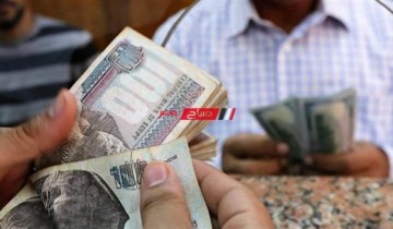 اسعار الفائدة على شهادات استثمار البنوك – بنك بلوم مصر