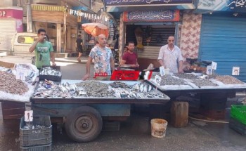 تحرير 25 محضر مخالفة لمحلات عزبة اللحم والسياله بدمياط لضبط الأسعار