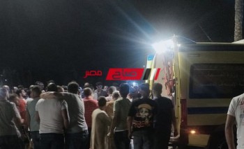 اصابة شخص جراء حادث سير على طريق الشعراء بدمياط