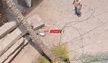 سقوط نخلة باحدى شوارع قرية العنانية بدمياط دون إصابات