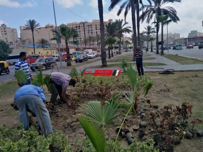 البدء في تطوير حدائق المنتزه بمحافظة الإسكندرية.. مبادرة 100 مليون شجرة