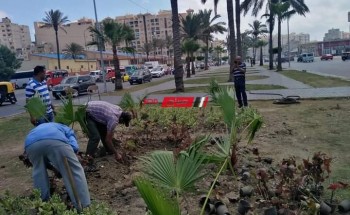 البدء في تطوير حدائق المنتزه بمحافظة الإسكندرية.. مبادرة 100 مليون شجرة