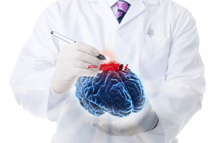 لماذا لا يصف الأطباء أبداً علاج للمرحلة الرابعة من سرطان الدماغ؟
