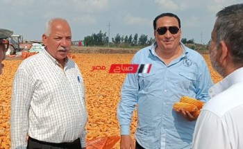 وكيل زراعة دمياط: لا توجد إصابات بسوسة النخيل منذ بداية شهر مارس بمدينة الزرقا