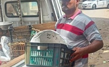 رئيس محلية فارسكور بدمياط: نواصل حملات للتصدى لظاهرة الإشغالات ومكبرات الصوت