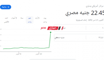 قفزة جديدة في سعر الدولار بعد قرار المركزي المصري برفع اسعار الفائدة يصل الى 22.45 جنيه