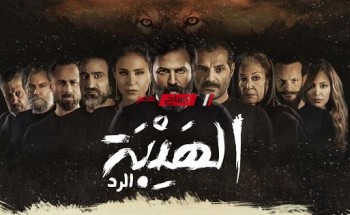 فيلم “الهيبة” لـ تيم حسن يحقق 258 ألف جنيه في شباك التذاكر