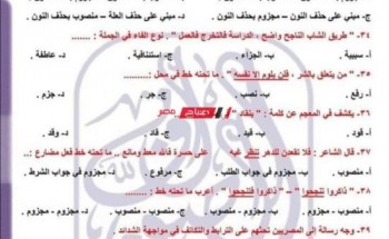 نموذج استرشادي عربي منهج شهر أكتوبر تانية ثانوي 2023 .. بالإجابة امتحان تجريبي لغة عربية للصف الثاني الثانوي