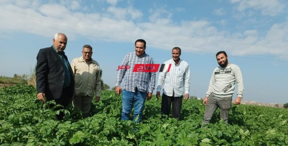 وكيل وزارة الزراعة بدمياط يتفقد حالة زراعات مركز الزرقا