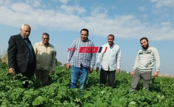 جولة ميدانية في يوم الحقل لوكيل زراعة دمياط بالتعاون مع الحملة القومية للقمح