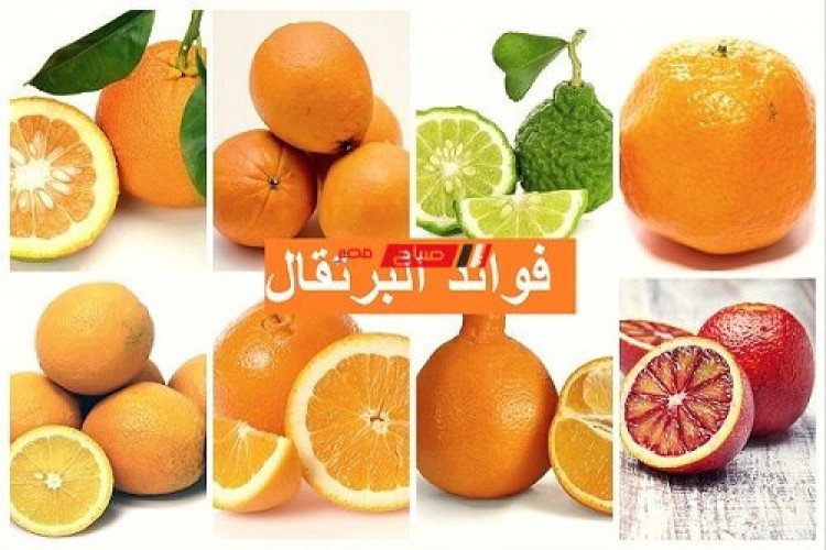 تعزيز المناعة وصحة الجهاز الهضمي والتخلص من البرد مع البرتقال
