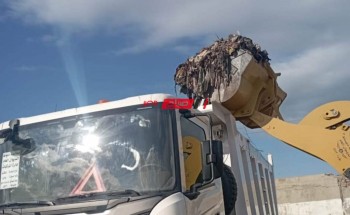 حملات مكبرة للنظافة بكافة انحاء قري الشيخ ضرغام والخياطة بدمياط