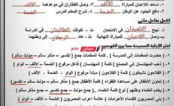مراجعة ليلة الامتحان عربي للصف الرابع الابتدائي .. مذكرة مراجعة نهائية لغة عربية رابعة ابتدائي الترم الاول 2023