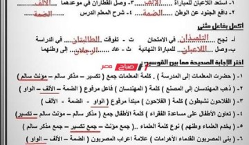 مراجعة ليلة الامتحان عربي للصف الرابع الابتدائي .. مذكرة مراجعة نهائية لغة عربية رابعة ابتدائي الترم الاول 2023
