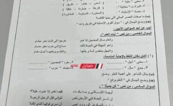 امتحان اللغة العربية للصف الثالث الاعدادي ترم أول 2023 لأبنائنا في الخارج