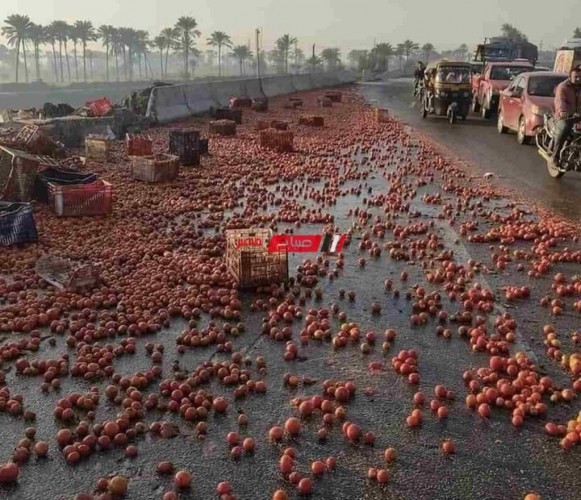 بالصور مصرع سائق جراء انقلاب سيارة نقل محملة بالطماطم بطريق جمصة