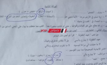 حل امتحان العربي اليوم للصف الثاني الاعدادي محافظة أسيوط الترم الاول 2023