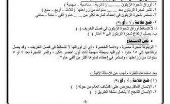 مذكرة مراجعة اللغه العربيه للصف الخامس الابتدائي الترم الاول 2023
