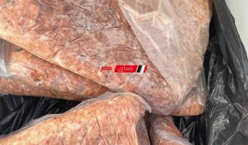 ضبط 160 كيلو فسيخ ولحوم فاسدة في حملة بيطرية بدمياط