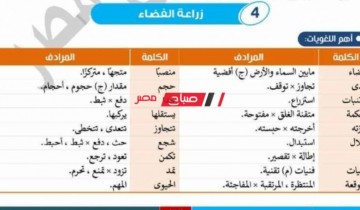 موقع صباح مصر مراجعة ليلة الامتحان لغة عربية للصف الثالث الاعدادي الترم الأول 2023