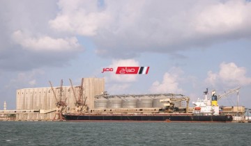 ميناء دمياط: وصول 63 ألف طن من القمح لصالح هيئة السلع التموينية