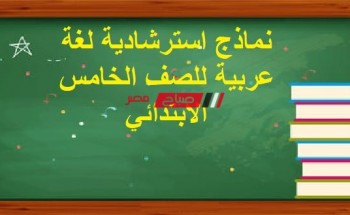 نماذج استرشادية لغة عربية للصف الخامس الابتدائي الترم الاول 2023 وزارة التربية والتعليم