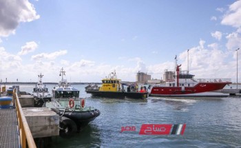 ميناء دمياط: تحميل 1600 طن من القمح متجهه إلى صوامع امبابة