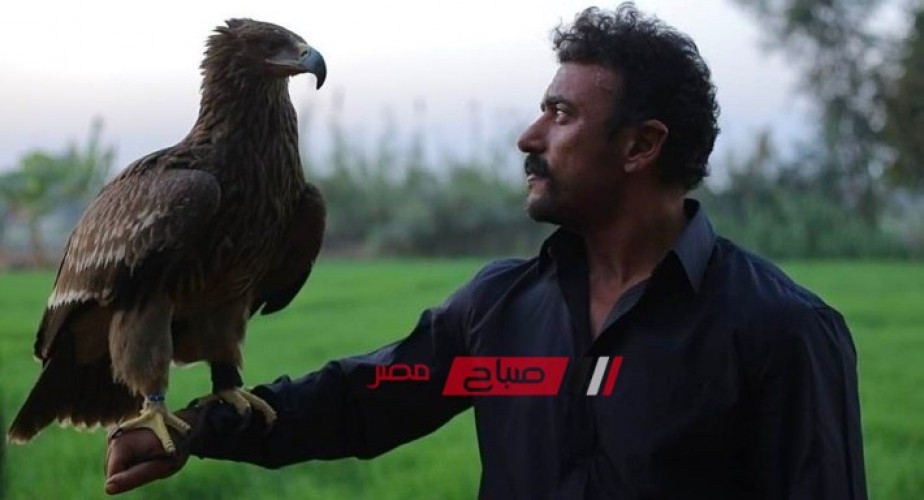 أحمد العوضي يكشف سر ظهوره مع طائر جارح في برومو مسلسل “ضرب نار”