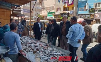 حملة للرقابة على اسواق مدينة كفر سعد بدمياط