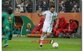 توقيت مباراة الجزائر والنيجر في التصفيات المؤهلة لأمم إفريقيا والقنوات