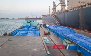 تداول 22 سفينة عبر ميناء دمياط وتصدير 10880 طن يوريا صب