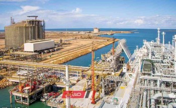 ميناء دمياط يعلن تصدير 61 الف طن من الغاز المسال ويستقبل 42 الف طن قمح