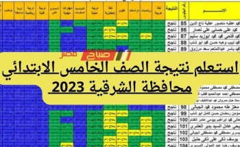 استـعلم نتيجة الصف الخامس الابتدائي محافظة الشرقية الترم الثاني 2023 بالخطوات