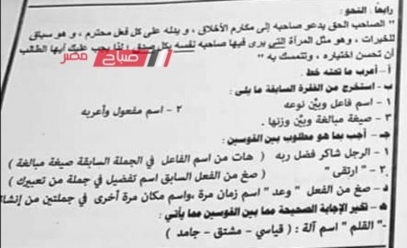 حل قطعة نحو امتحان العربي محافظة القاهرة للصف الثالث الاعدادي الترم الثاني 2023