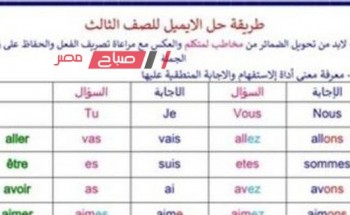 أسهل طريقة لحل الايميل باللغة الفرنسية للصف الثالث الثانوى 2023