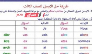 أسهل طريقة لحل الايميل باللغة الفرنسية للصف الثالث الثانوى 2023