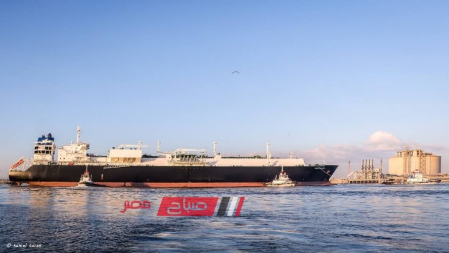 تداول 18 سفينة وتسجيل 30 الف طن ضمن حركة الصادر من البضائع العامة عبر ميناء دمياط