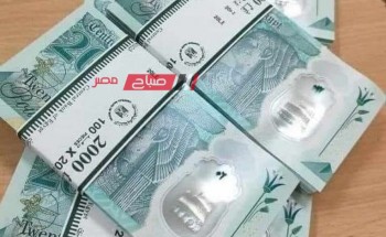 البنك المركزي المصري يطرح الـ 20 جنيه البلاستيكية الجديدة قبل العيد الأضحى