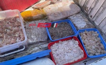 ضبط 102 كيلو اغذية فاسدة في حملة بيطرية مكبرة على محلات دمياط