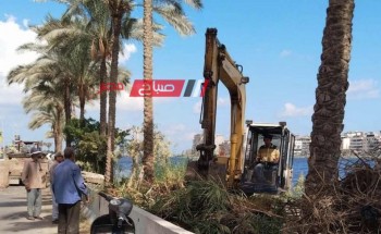 تكثيف جهود محلية دمياط لتطهير ضفاف النيل بطريق رأس البر الجديد